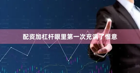 配资加杠杆眼里第一次充满了恨意