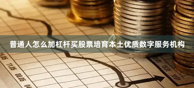 普通人怎么加杠杆买股票培育本土优质数字服务机构